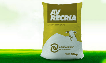 AV RECRIA